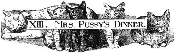 XIII. MRS. PUSSY'S DINNER