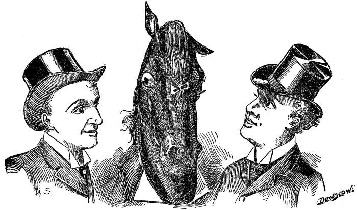 DEVOE, JOHNSTON & CO., HORSE TRAINERS