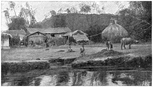 Hoeven tusschen bamboeheggen.