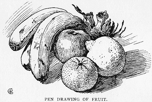Pen Drawing of Fruit.