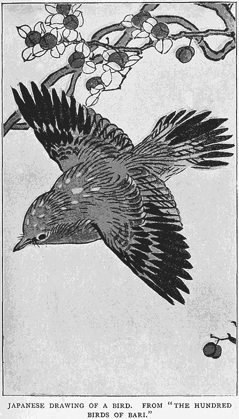 Japanese Drawing Of A Bird.
From “;The Hundred Birds Of Bari.”;