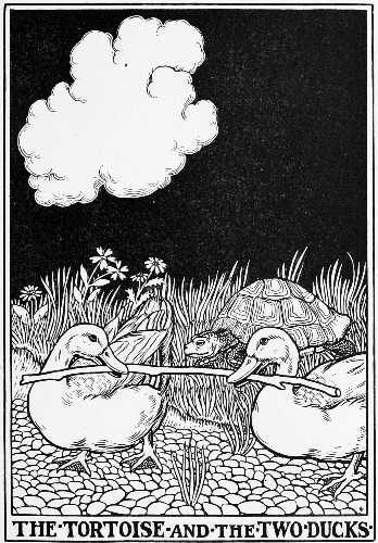 THE TORTOISE AND THE TWO DUCKS.