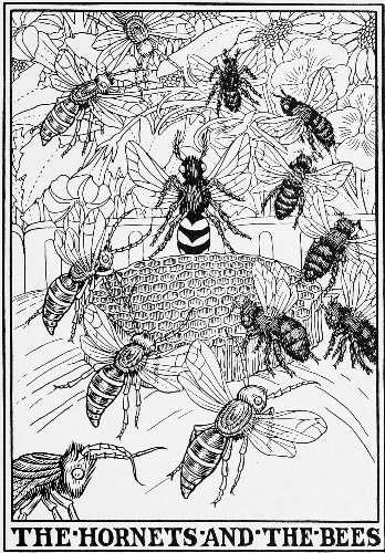 THE HORNETS AND THE BEES.