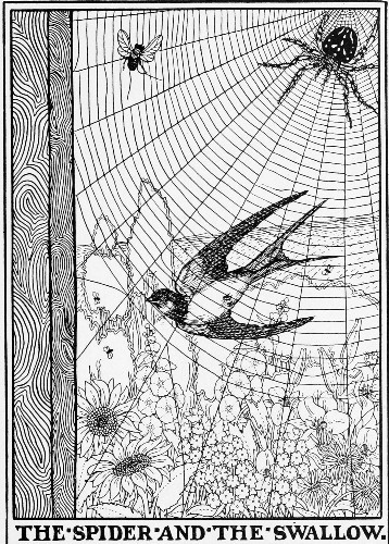 THE SPIDER AND THE SWALLOW.
