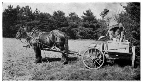 Filling the Lime Spreader at the Ohio Experiment Station