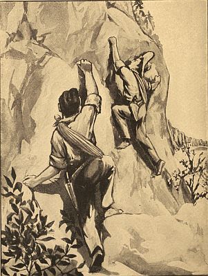 "THEY WERE NOW GOING UP THE FACE OF THE CLIFF."—P. 204. Frontier Boys on the Coast.