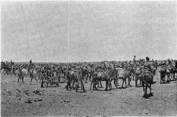 Artillery going towards Omdurman.