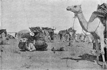 Loading Up—Breaking Camp.