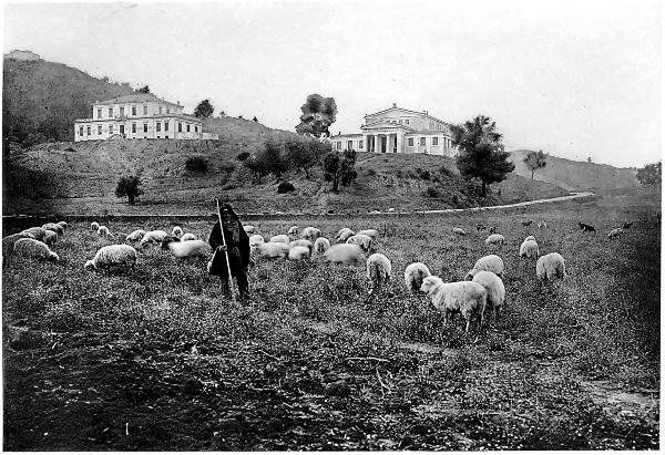 A GREEK SHEPHERD, OLYMPIA.
