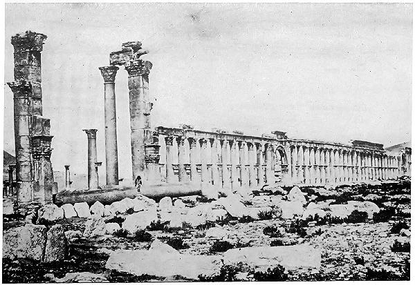 THE RUINS OF PALMYRA.