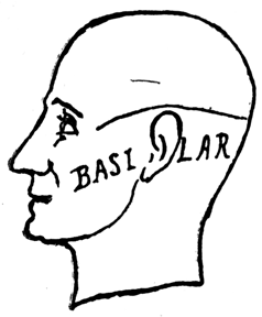 Profile sketch of a man’s head, with the word 'BASILAR' written across the ear