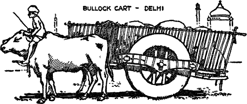 BULLOCK CART--DELHI