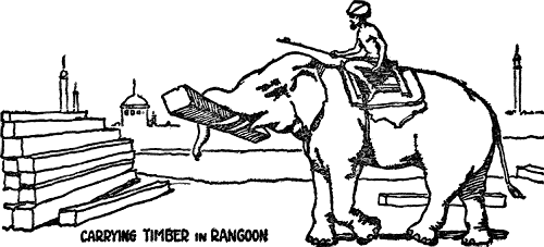 CARRYING TIMBER IN RANGOON