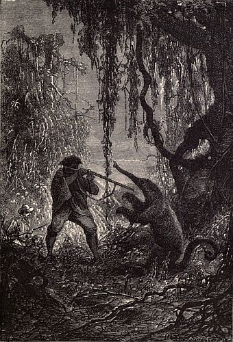 "It stood up on its hind legs."