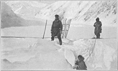 Bridging a crevasse on the Muldrow
Glacier.