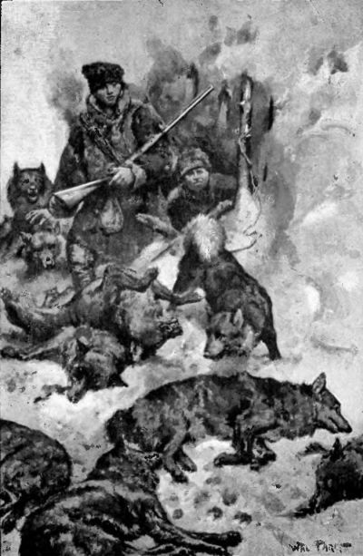 THE SLAUGHTERED WOLVES.