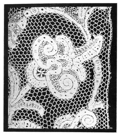 MILANESE LACE.

(Author's Collection.)