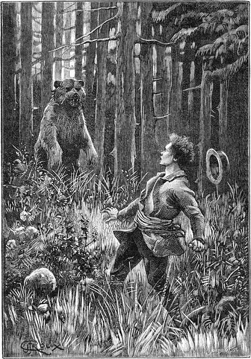 een twintigtal schreden van Sander af, vertoonde zich een groote beer. (Zie bladz. 79)