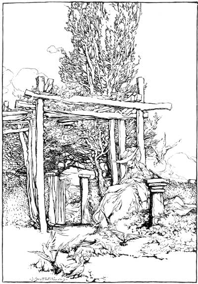 THEY CROONED TOGETHER THERE, THE WOMAN, THE CHILD AND
THE BIRDS