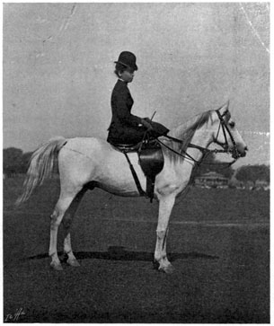 Woman seated side-saddle on a grey horse.