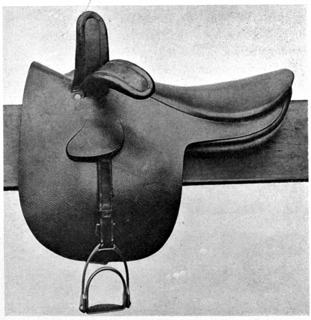 Side view of a side-saddle.