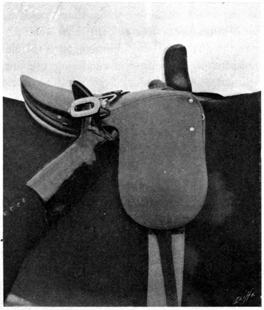 Position of foot caught in stirrup when rider falls on the off side.