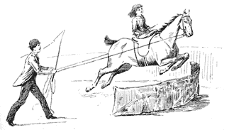 Drawing of a girl being lunged over a small fence.