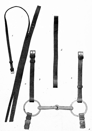 Disassembled bridle, showing pieces.