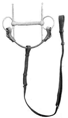 Standing Martingale attached to rings of the
Snaffle.