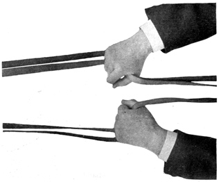 Overhead view of double reins held in two hands
