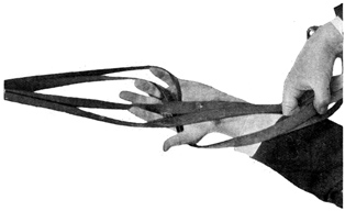 View of palm of hand with double reins crossing.