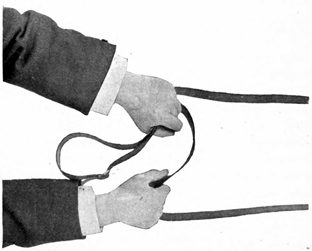 Overhead view of two hands holding single reins