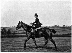 Woman riding at the trot