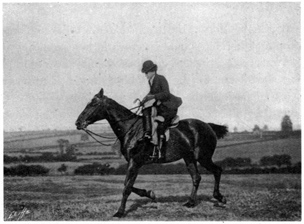 Woman riding at the trot