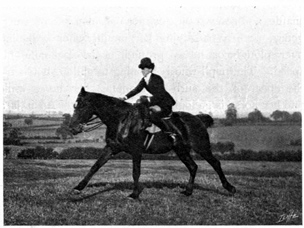 Woman riding at the gallop