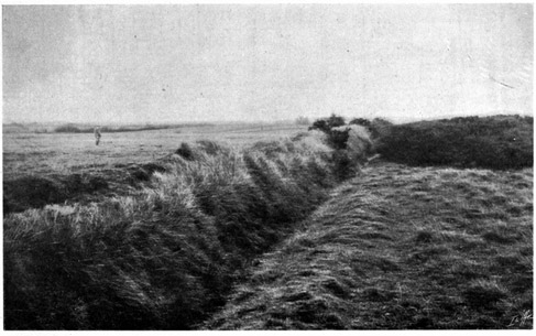 view showing ditch