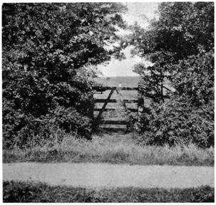Narrow wooden gate