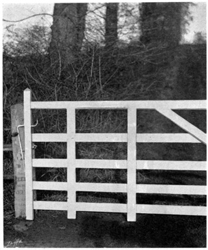 Wooden gate with metal latch