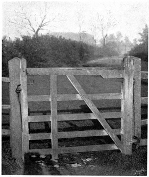 Another type of gate and latch