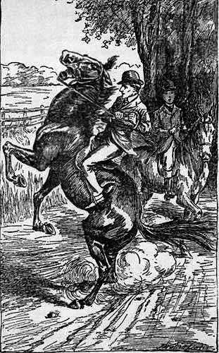 A man, sitting on a rearing horse, talking to another man astride another horse.