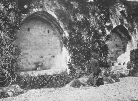 Fig. 24. Arches in south wall of Church at Beaulieu Abbey, Hampshire, once possibly used as book-presses.