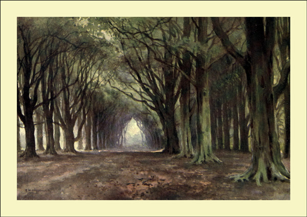 THE BEECH AVENUE, THORESBY