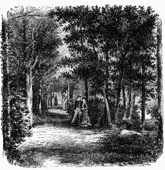FLIRTATION PATH.
(Photographed by G. W. Pack.)