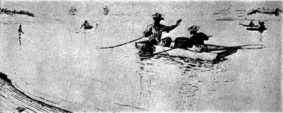 The toothsome Chesapeake Bay hard crab was, and is still
to a great extent today, taken by baits spaced along lines sunk to the
bottom and then raised and the tenacious crabs removed.