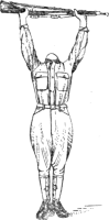 Fig. 30