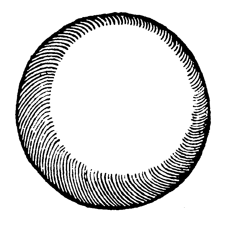 Sphericall surface.
