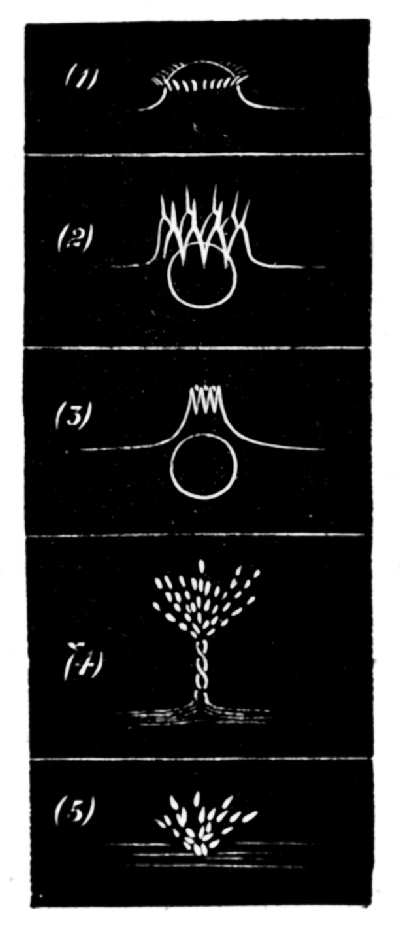 Series VII.
When the sphere is not well dried and polished.