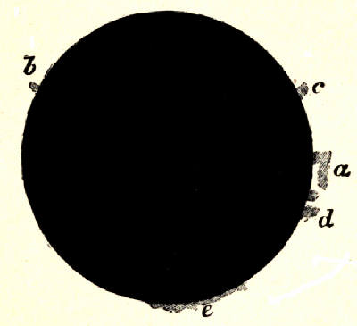 Fig. 19.—Prominences seen in Total Eclipse.