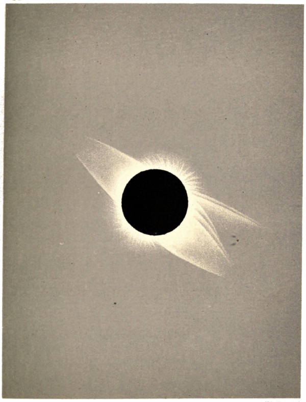 PLATE V. TOTAL SOLAR ECLIPSE, JULY 29TH, 1878.