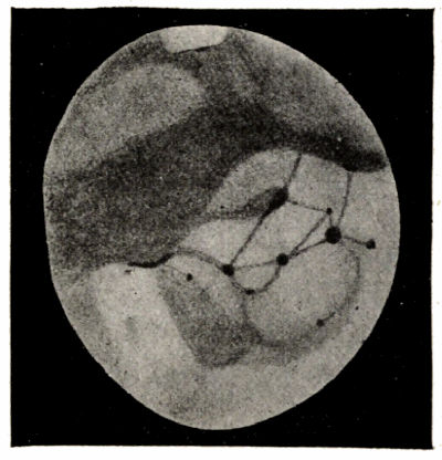Fig. 51.—Drawing of Mars (July 30th, 1894).
